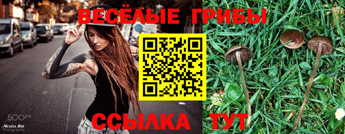 Красноуфимск  дарнет шоп  Вход с VPN  Псилоцибиновые грибы мухоморы  Галлюциногенные грибы мухоморы 