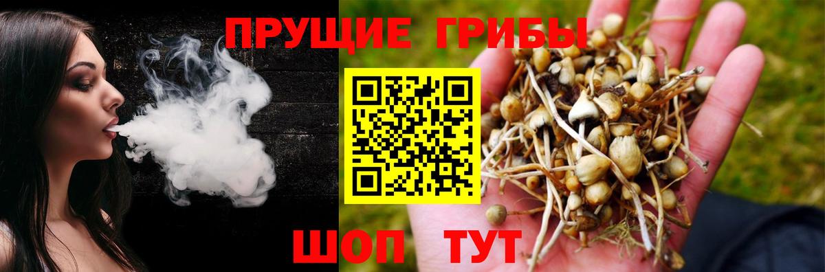Псилоцибиновые грибы Magic Shrooms Красноуфимск